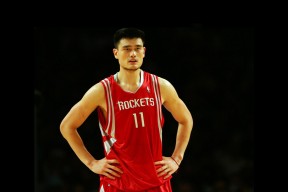 开云体育下载官网-志愿者就位+AI服务上线，体验感拉满！，志愿服务指引